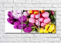 Картина Magic Color Bouquets of tulips of different colors (500167)