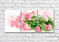 Картина Magic Color Branch of a Pink rose on a White background (500199)