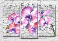 Картина Magic Color Branch of Lilac orchid on a brick background (3565188)