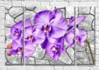 Картина Magic Color Branch of Lilac orchid on a stone background (3565154)