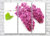Картина Magic Color Branch of Pink lilac with a leaf (500202)