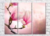 Картина Magic Color Branch of pink magnolia on a Pink background (3448880)