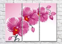Картина Magic Color Branch of Pink orchid-graphic drawing (500198)
