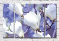 Картина Magic Color Branch of White magnolia on a Lilac background (3565143)