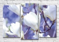 Картина Magic Color Branch of White magnolia on a Lilac background (3565186)