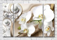 Картина Magic Color Branch of White orchid on a Beige background with curls (3565144)