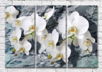 Картина Magic Color Branches of a White orchid against the background of a stream (3565116)