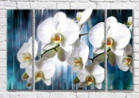 Картина Magic Color Branches of a White orchid on a Blue background of a waterfall (3565156)