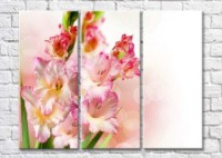 Картина Magic Color Branches of Pink gladioli on a light background (500222)