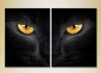 Картина ArtPoster Black cat eyes (2603001)