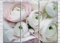 Картина Magic Color Buds of White ranunculus (3572502)