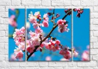 Картина Magic Color Cherry blossom branch on a bright Blue background (500204)