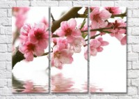 Картина Magic Color Cherry blossom branch over water (500216)