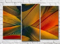 Картина Magic Color Colored feathers in Yellow tones (3499121)