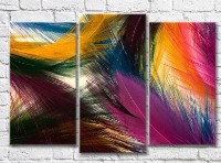 Картина Magic Color Colorful colorful bird feathers (3499119)