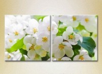 Картина Magic Color Diptych Apple Blossom (2613834)
