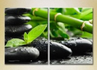 Картина Magic Color Diptych Bamboo and massage stones (2613746)