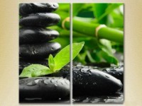 Картина Magic Color Diptych Bamboo and massage stones (2613748)