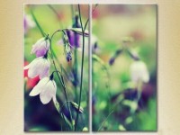 Картина Magic Color Diptych Bells in the field (2613775)