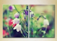 Картина Magic Color Diptych Bells in the field (2613783)