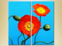 Картина Magic Color Diptych Blooming Poppy (2613817)