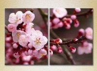 Картина Magic Color Diptych Blossoming branch (2613836)