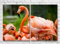 Pictură ArtPoster Bright/Pink flamingo close up (3451166)