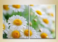Картина Magic Color Diptych Bouquet of daisies (2613756)