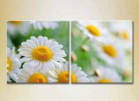 Картина Magic Color Diptych Bouquet of daisies (2613758)