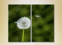 Картина Magic Color Diptych Dandelion (2613795)