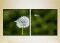 Картина Magic Color Diptych Dandelion (2613797)