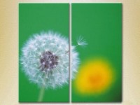 Картина Magic Color Diptych Dandelion on a Green background (2613799)