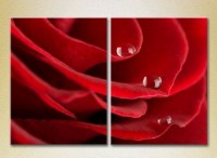Картина Magic Color Diptych Drops on a Red rose (2613777)