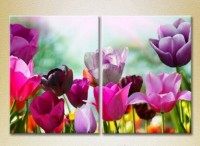 Картина Magic Color Diptych Field of Colorful tulips (2613811)
