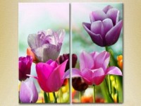 Картина Magic Color Diptych Field of Colorful tulips (2613812)