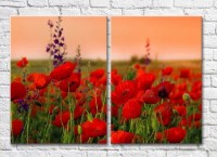 Картина Magic Color Diptych Field of Red poppies (3428041)
