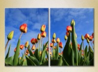 Картина Magic Color Diptych Field of tulips (2613815)