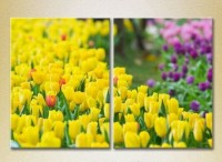 Картина Magic Color Diptych Field of Yellow tulips (2613807)