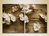 Картина Magic Color Diptych Flowering branch on the board (2613842)