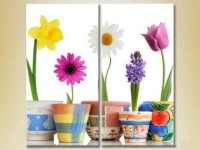 Картина Magic Color Diptych Flowers in pots (2613837)