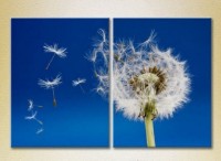 Картина Magic Color Diptych Flying Dandelion (2613820)