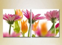 Картина Magic Color Diptych Gerbera (2613759)
