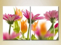 Картина Magic Color Diptych Gerbera (2613762)