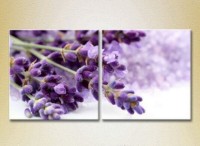Картина Magic Color Diptych Lavender (2613784)