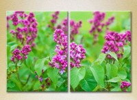 Картина Magic Color Diptych Lilac (2613835)