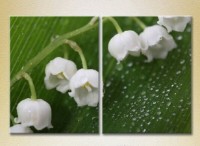 Картина Magic Color Diptych Lilies of the Valley (2613788)