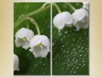 Картина Magic Color Diptych Lilies of the Valley (2613823)