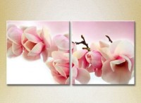 Картина Magic Color Diptych Magnolia (2613790)