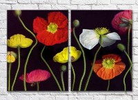 Картина Magic Color Diptych Multicolored poppies on a Black background 02 (3428036)