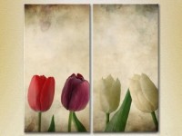 Картина Magic Color Diptych Multicolored tulips (2613816)